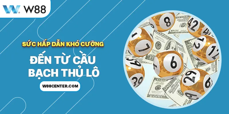 Sức hấp dẫn khó cưỡng đến từ cầu bạch thủ lô