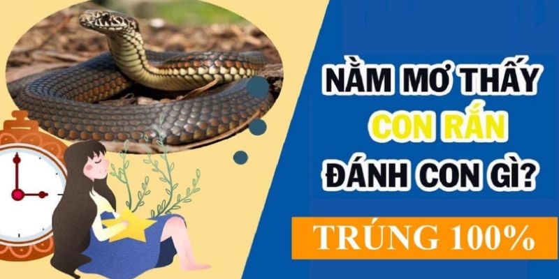 Mơ bị rắn cắn đánh số gì là câu hỏi nhiều người thắc mắc